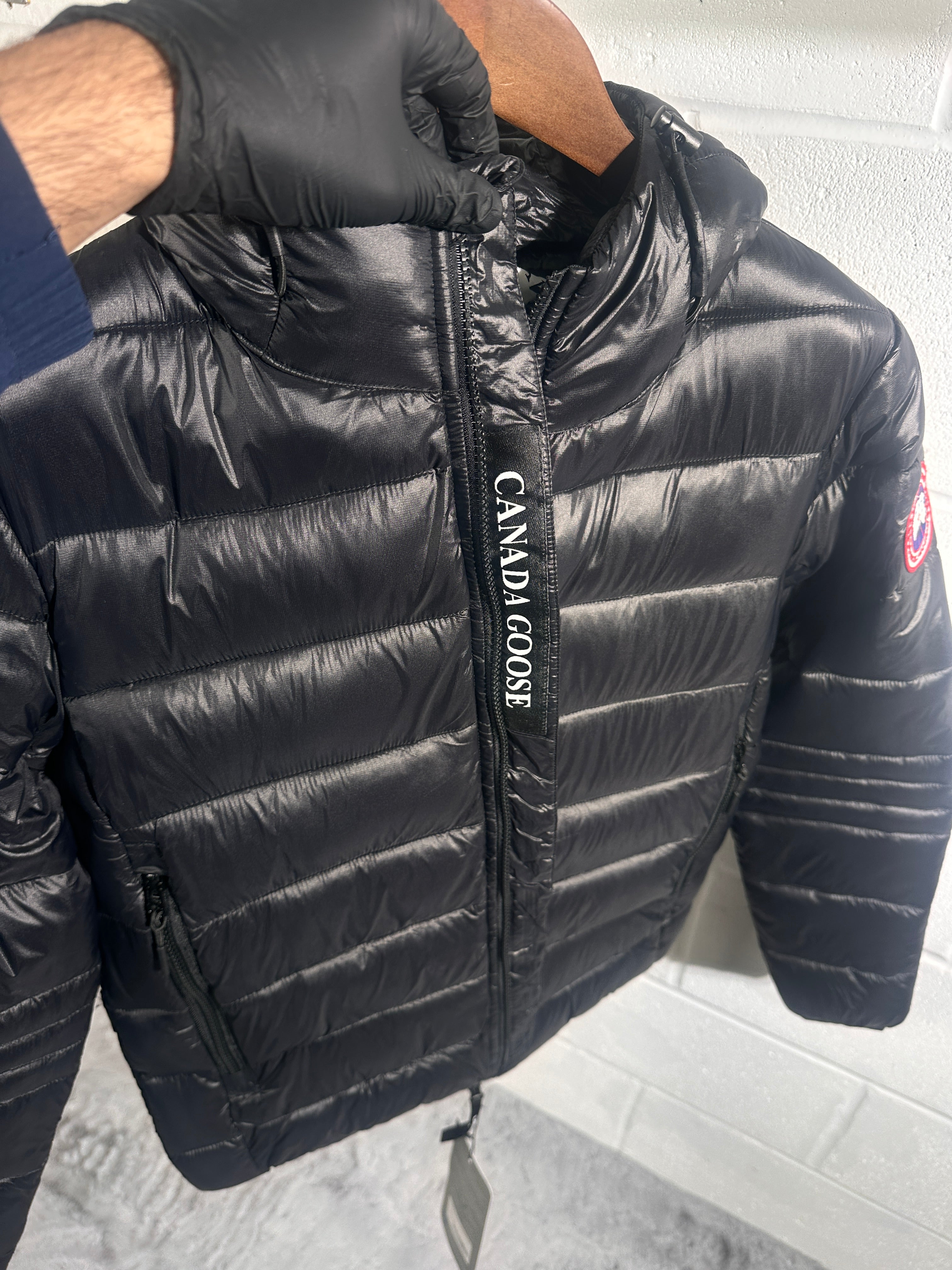 Canada goose hybrige black