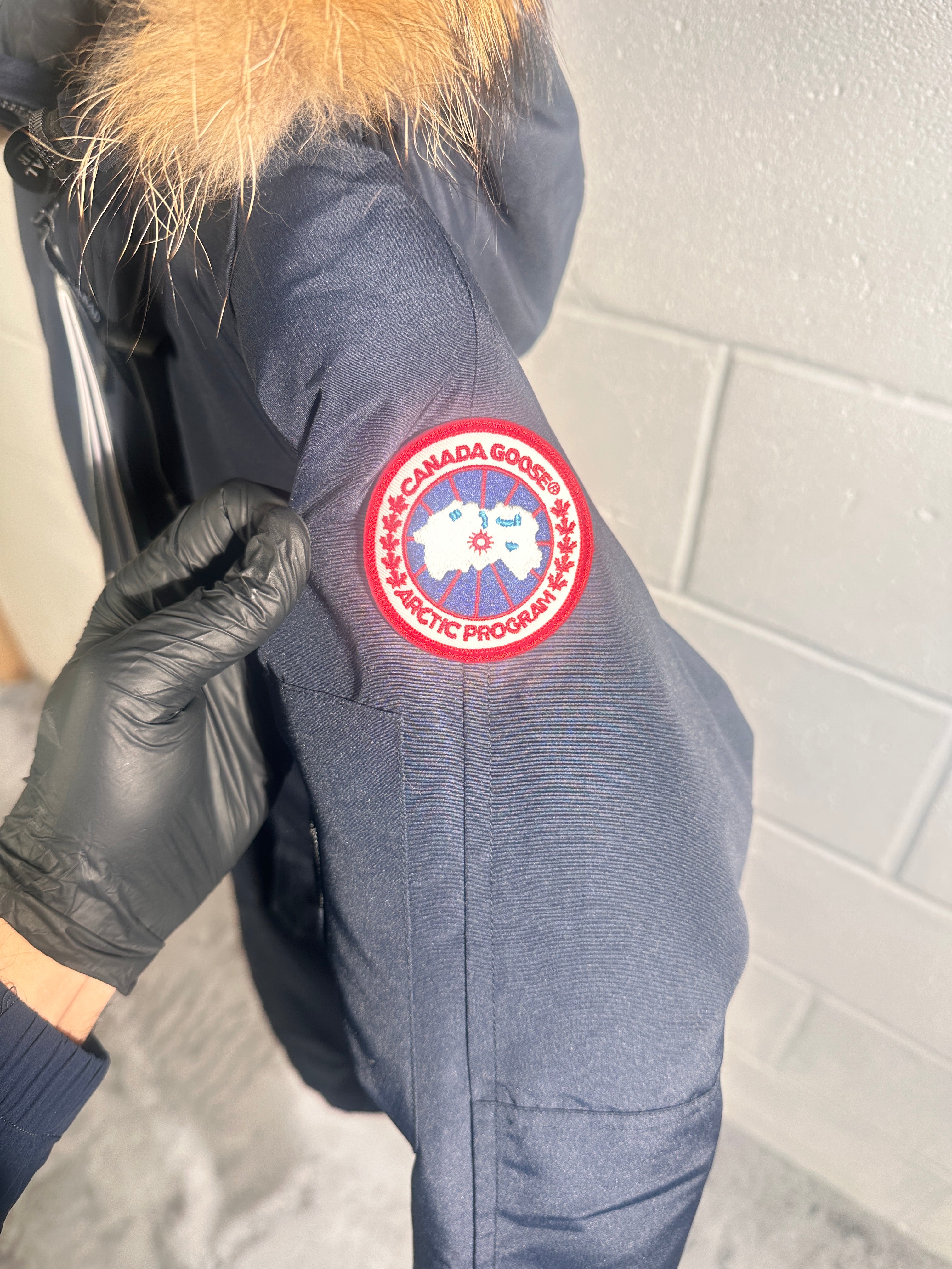 Canada goose chiliwhack navy