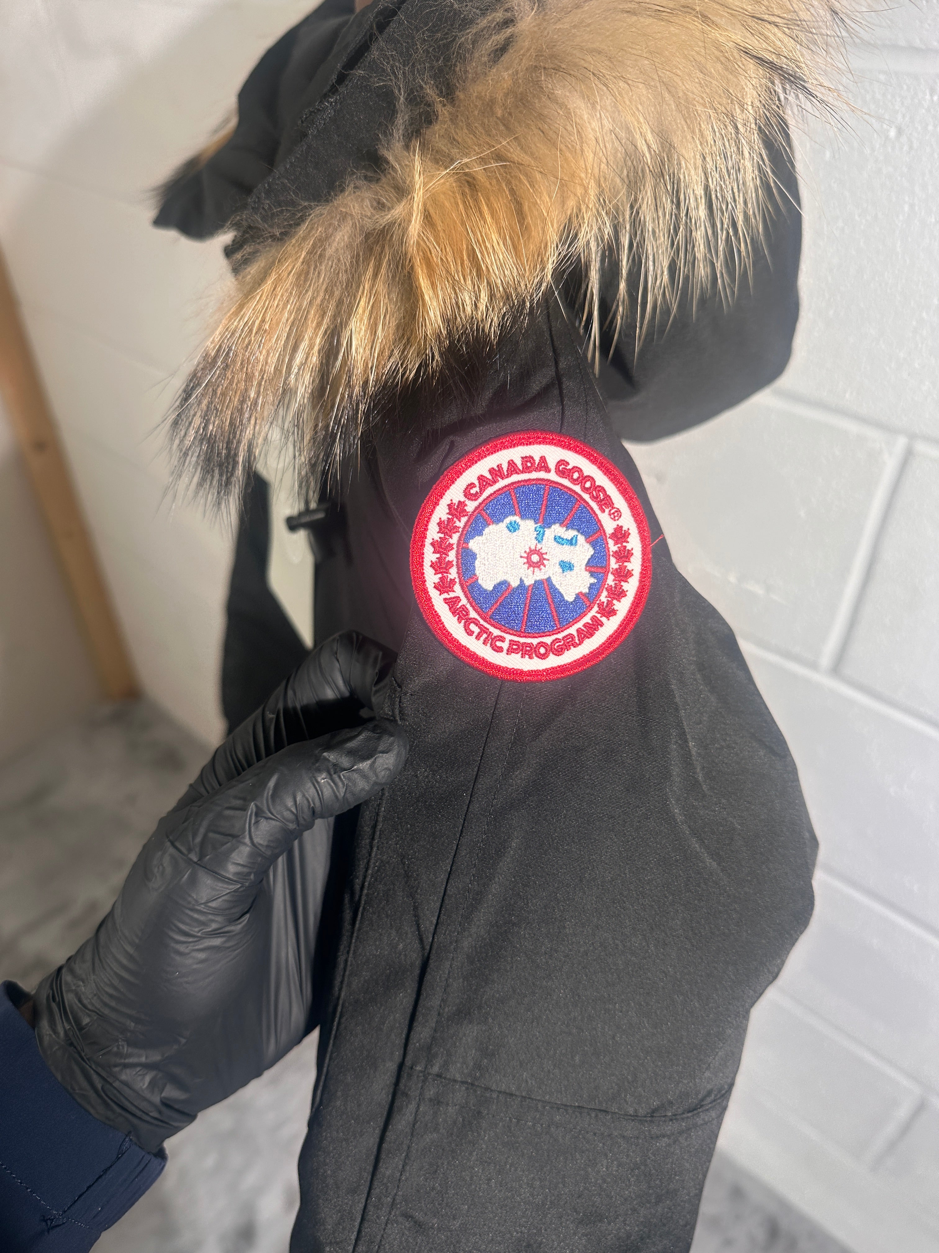 Canada goose chiliwhack Black