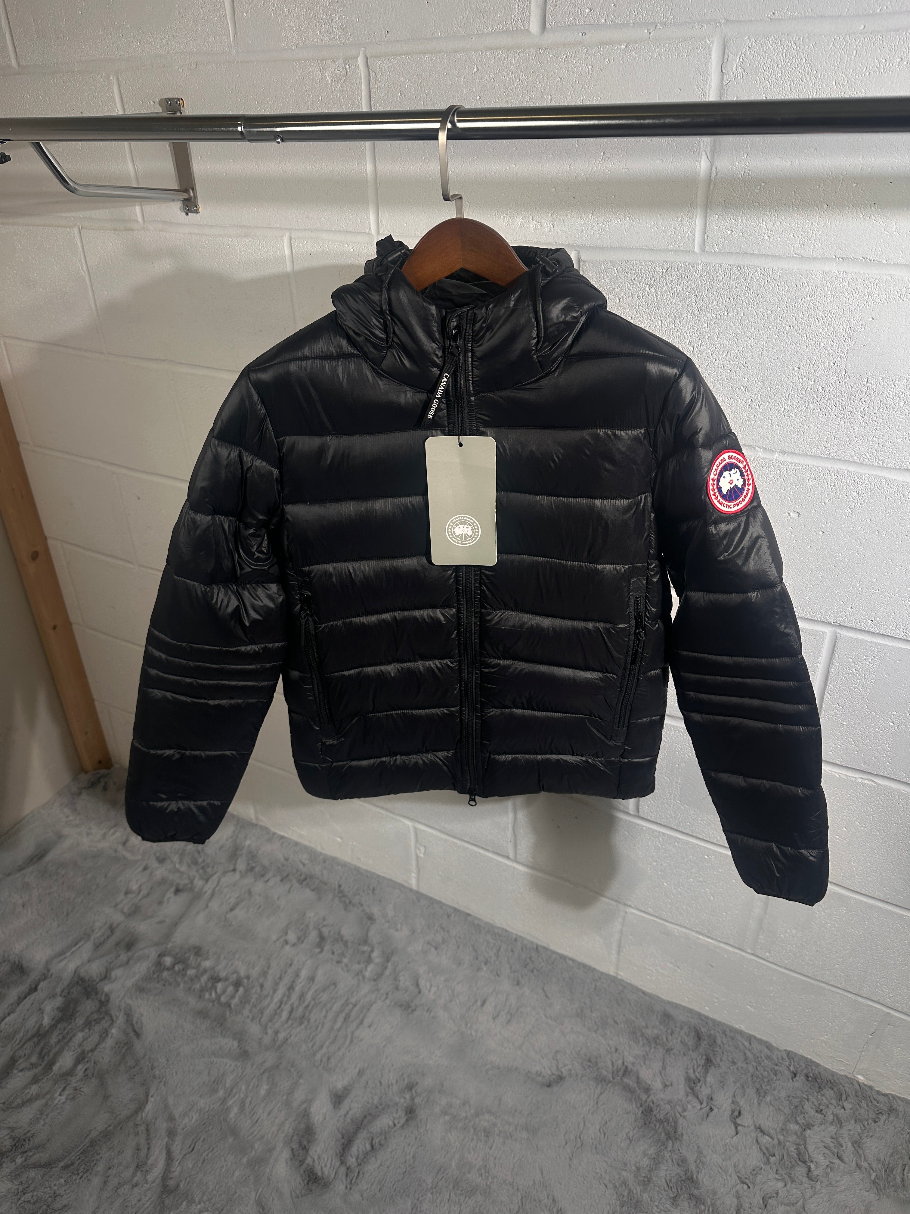 Canada goose hybrige black