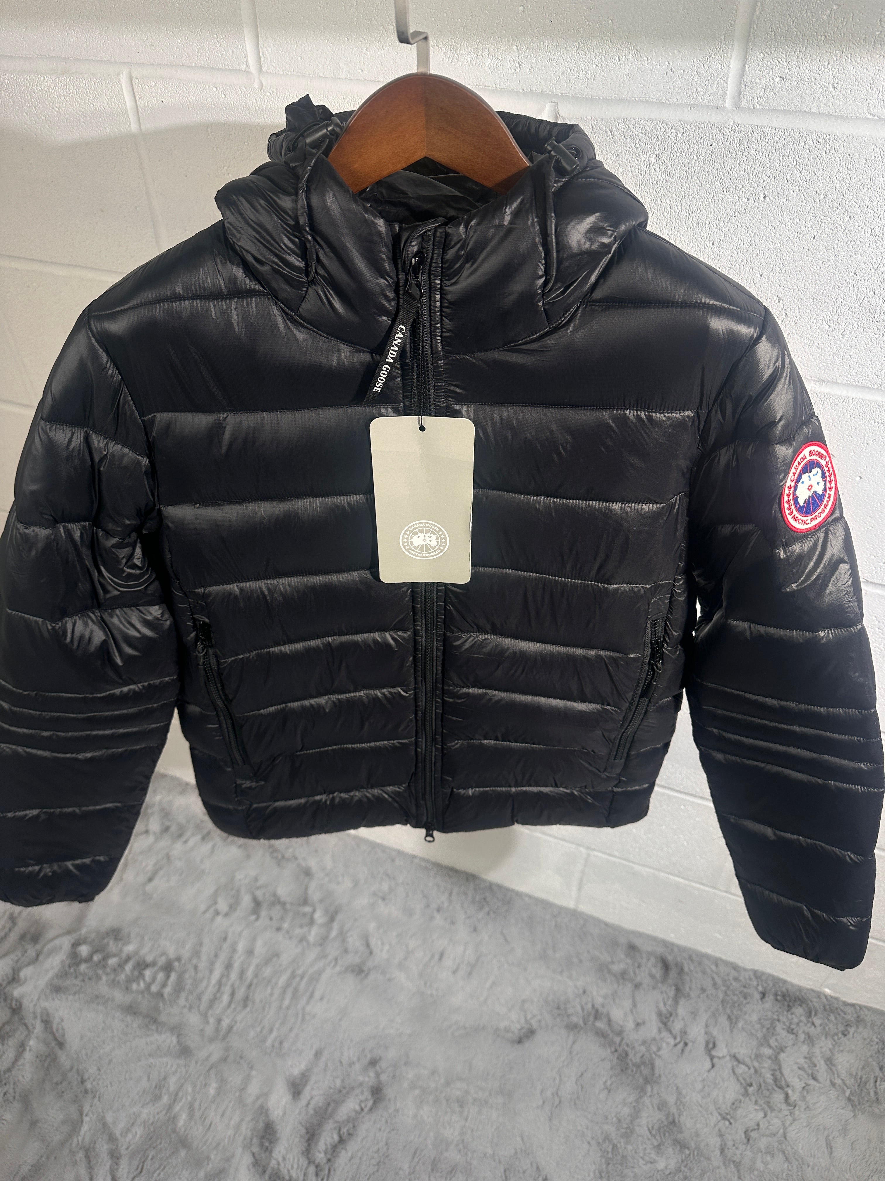 Canada goose hybrige black