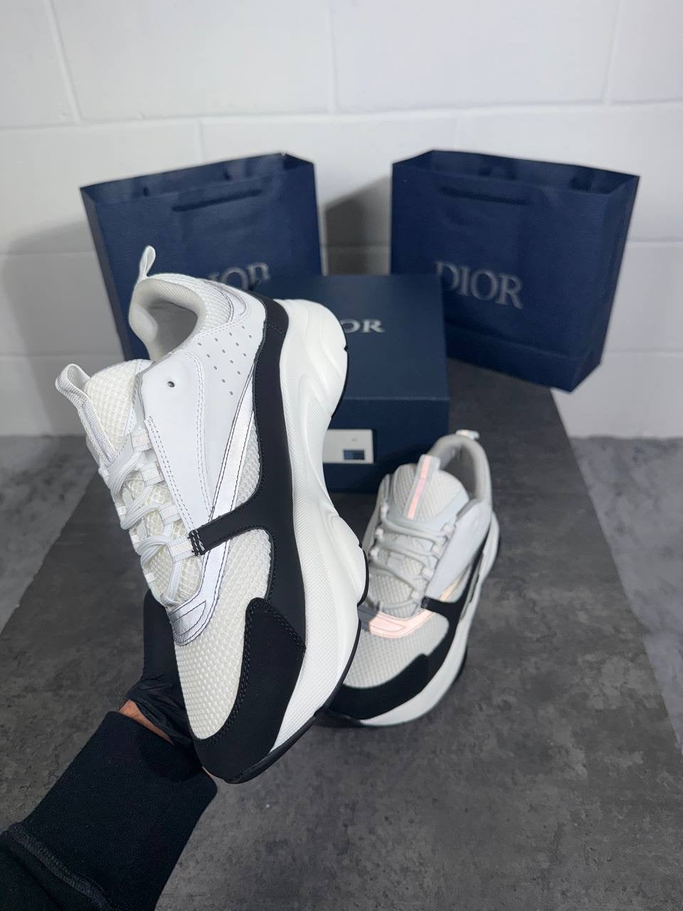 B22 DIOR WHITE BLACK