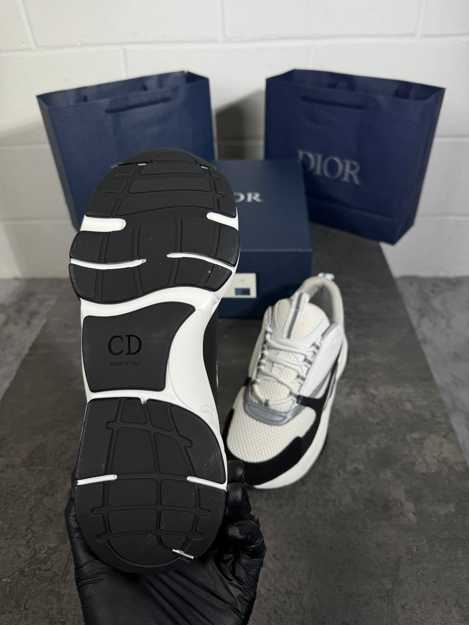 B22 DIOR WHITE BLACK